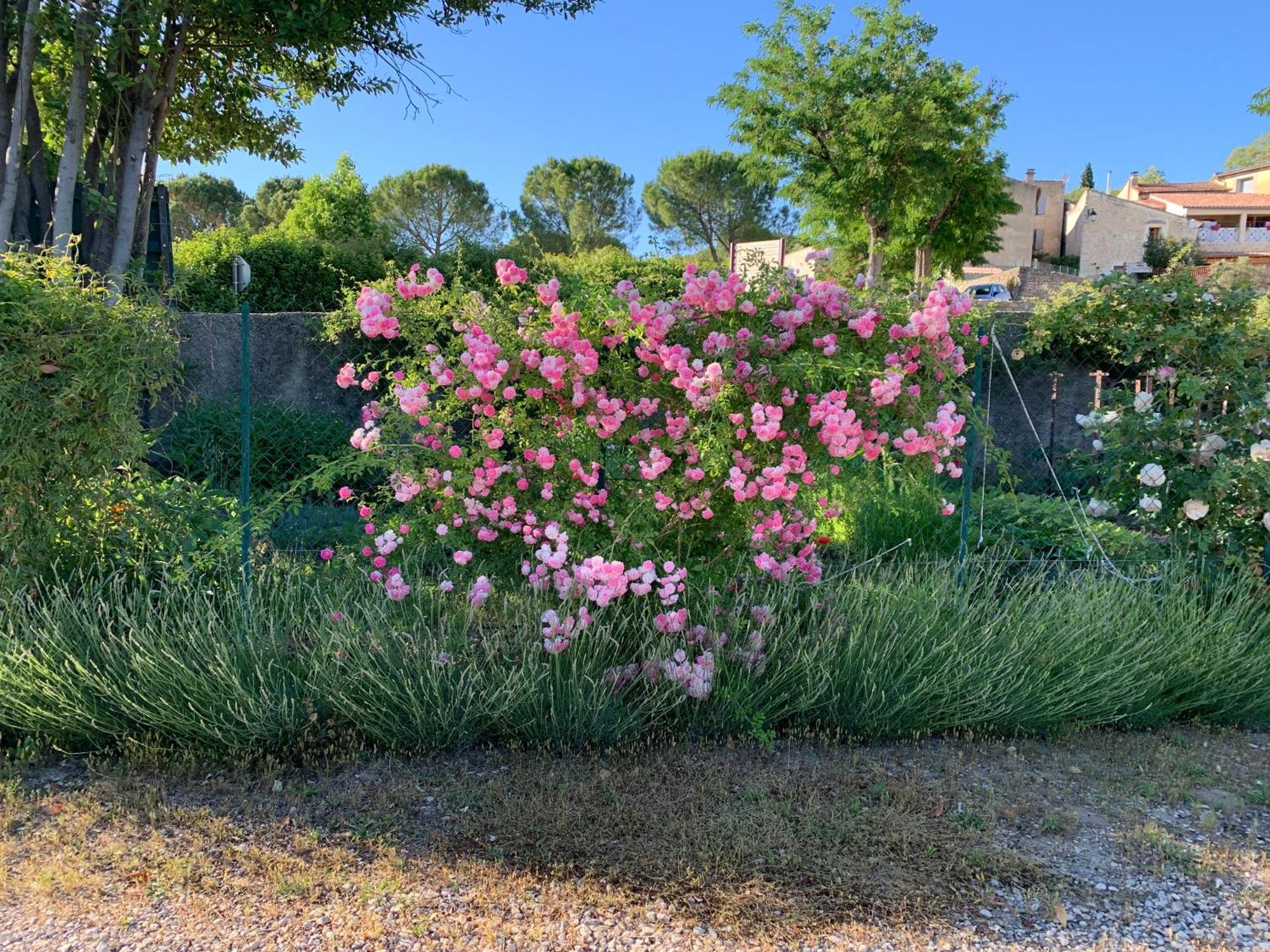La Bergerie Διαμέρισμα Domessargues Εξωτερικό φωτογραφία