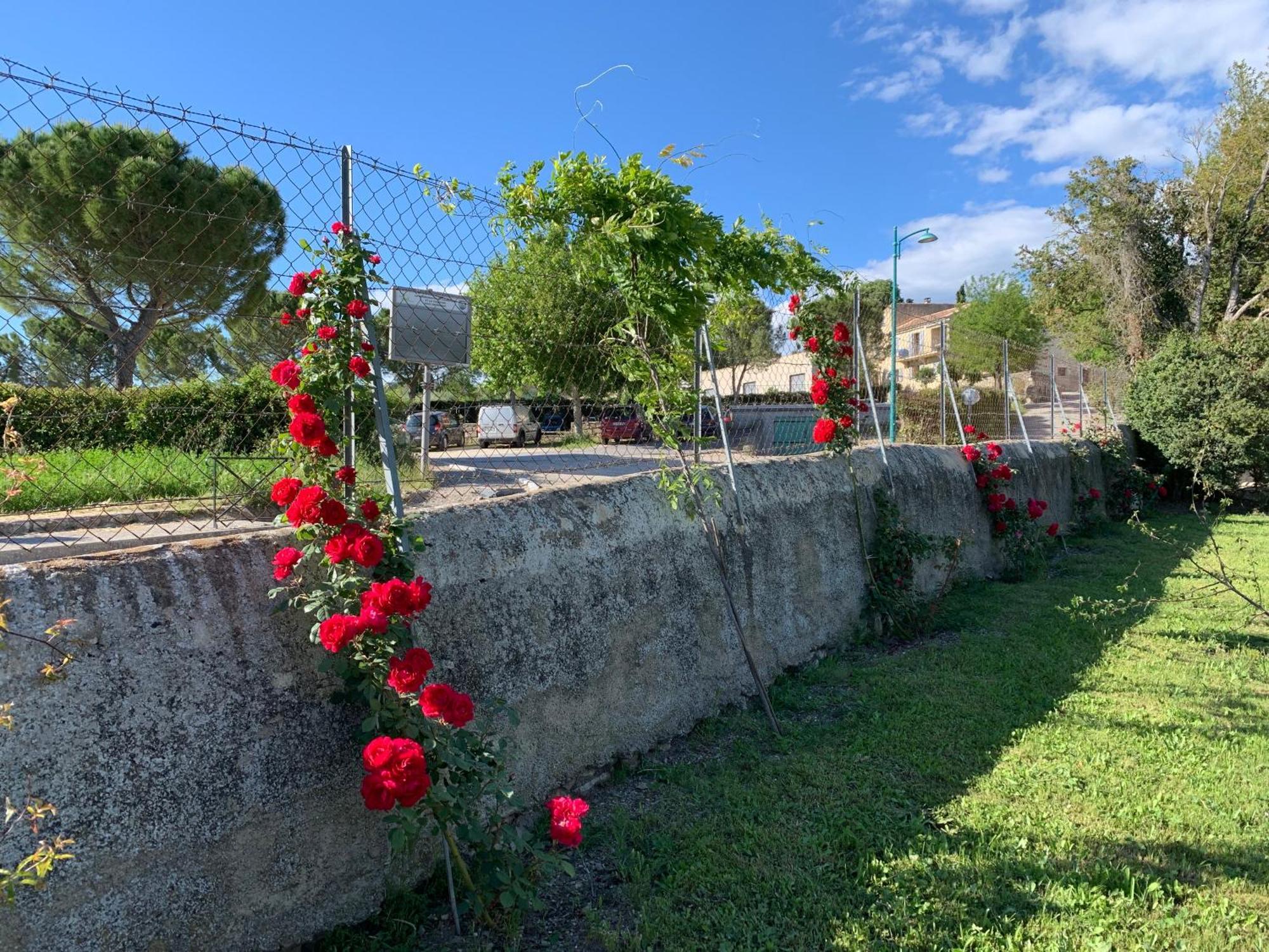 La Bergerie Διαμέρισμα Domessargues Εξωτερικό φωτογραφία