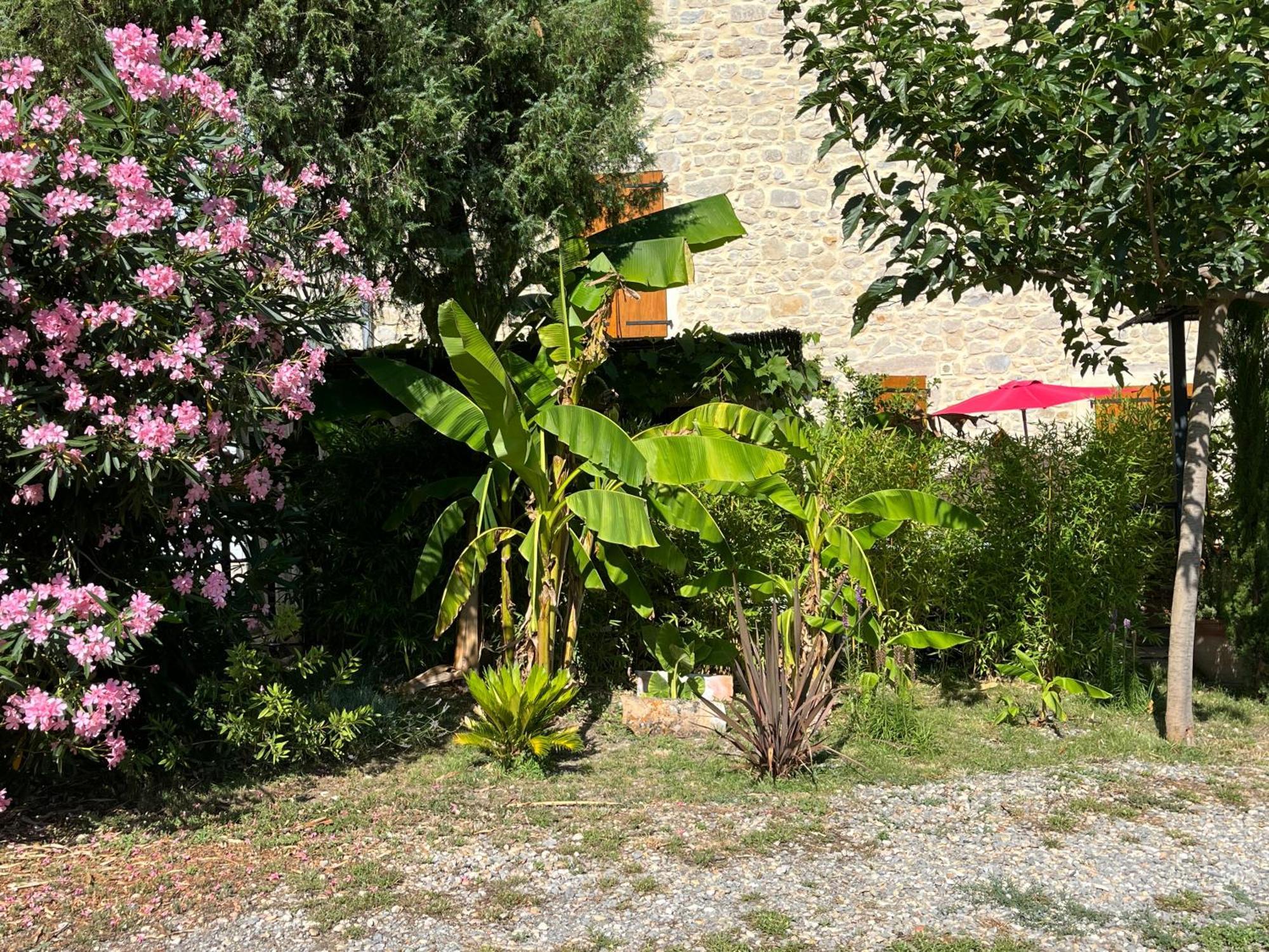 La Bergerie Διαμέρισμα Domessargues Εξωτερικό φωτογραφία