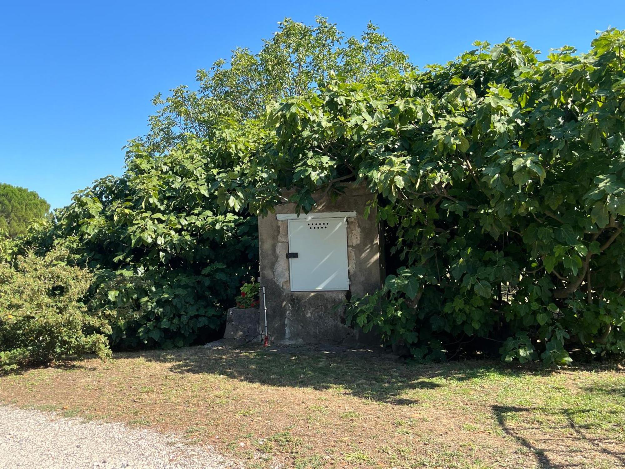 La Bergerie Διαμέρισμα Domessargues Εξωτερικό φωτογραφία