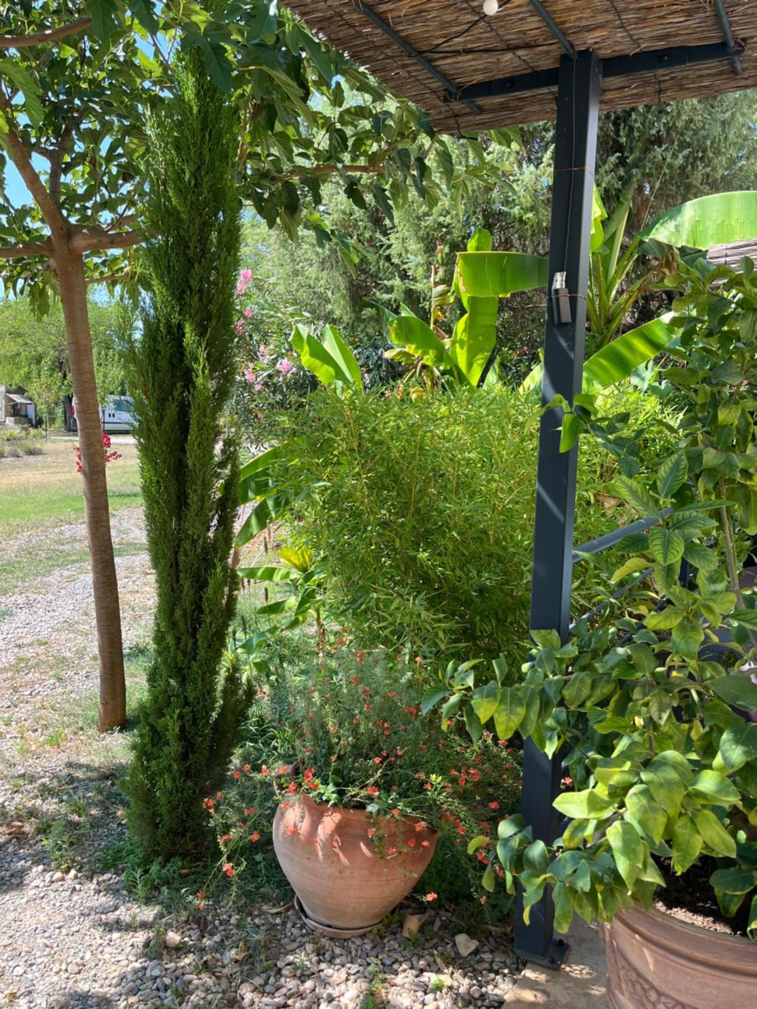 La Bergerie Διαμέρισμα Domessargues Εξωτερικό φωτογραφία