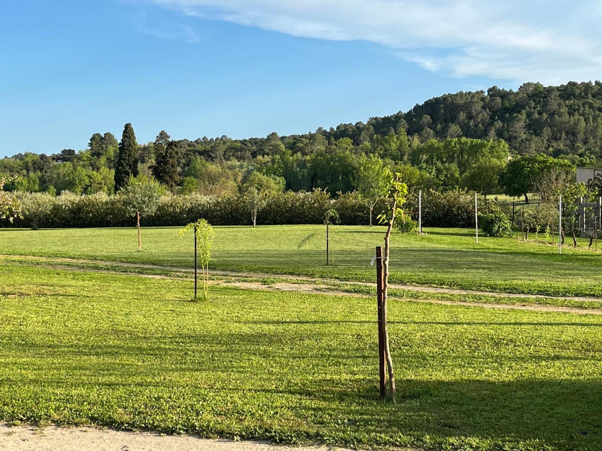 La Bergerie Διαμέρισμα Domessargues Εξωτερικό φωτογραφία